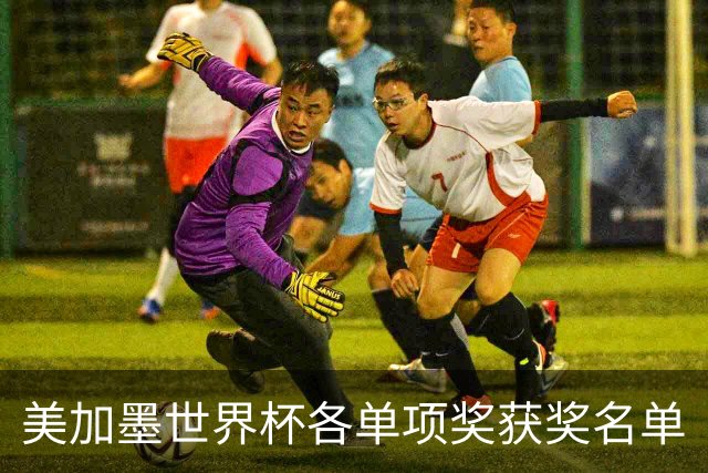美加墨世界杯各单项奖获奖名单